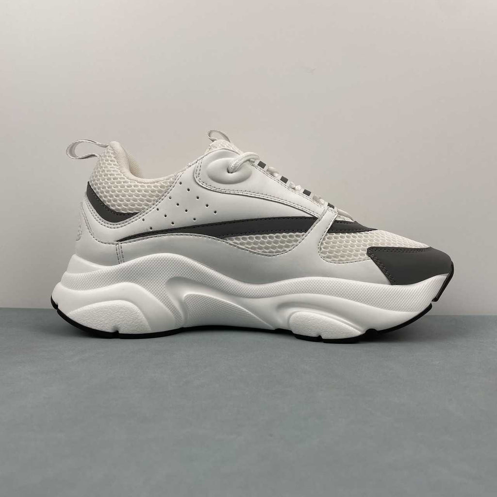 DIOR B22 WHITE BLACK