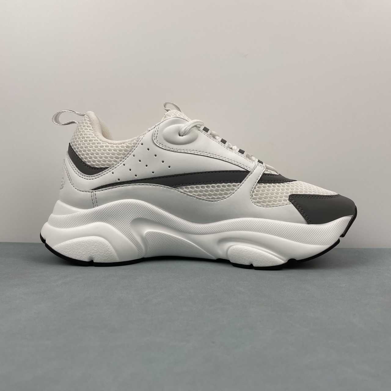 DIOR B22 WHITE BLACK