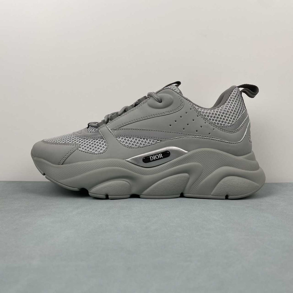DIOR B22 GREY