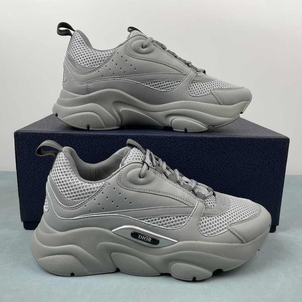 DIOR B22 GREY