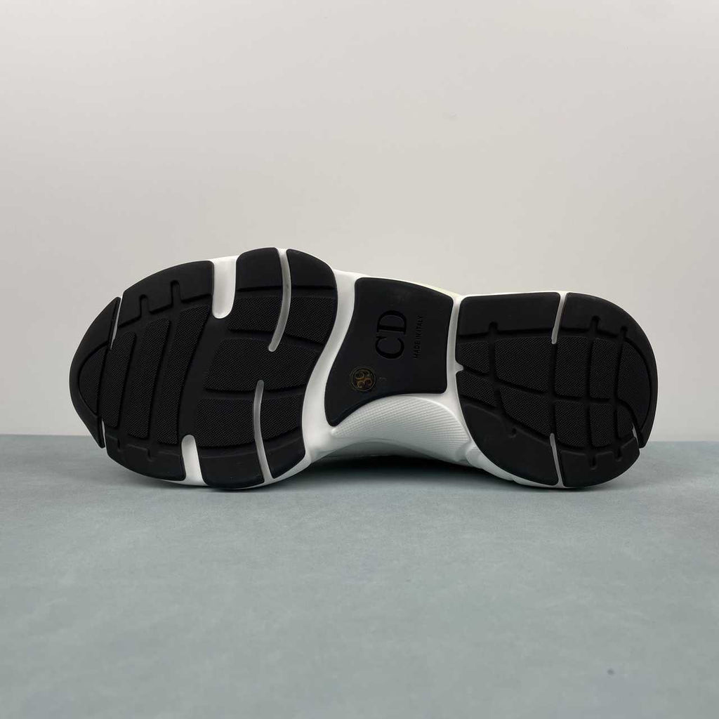 DIOR B22 WHITE BLACK