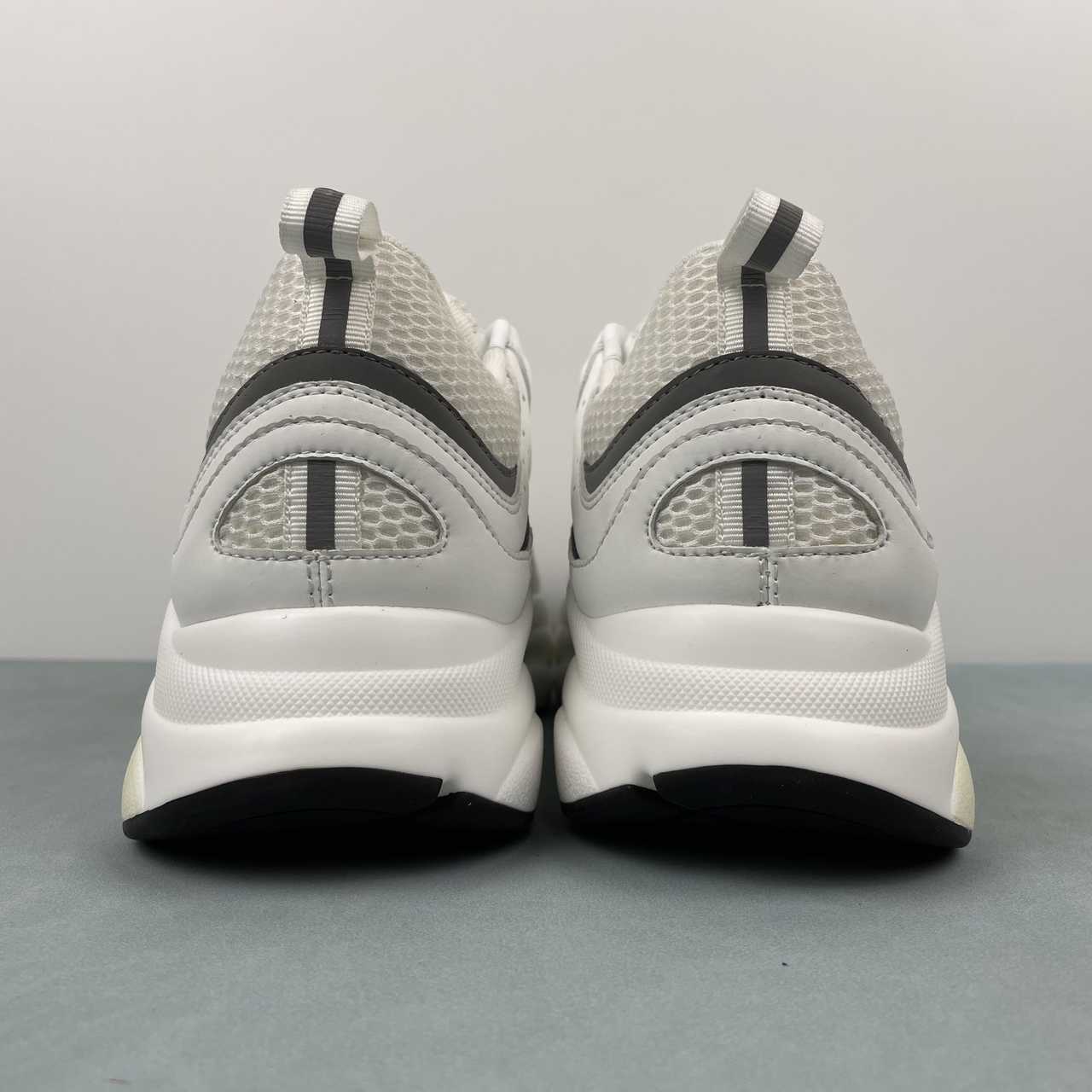 DIOR B22 WHITE BLACK