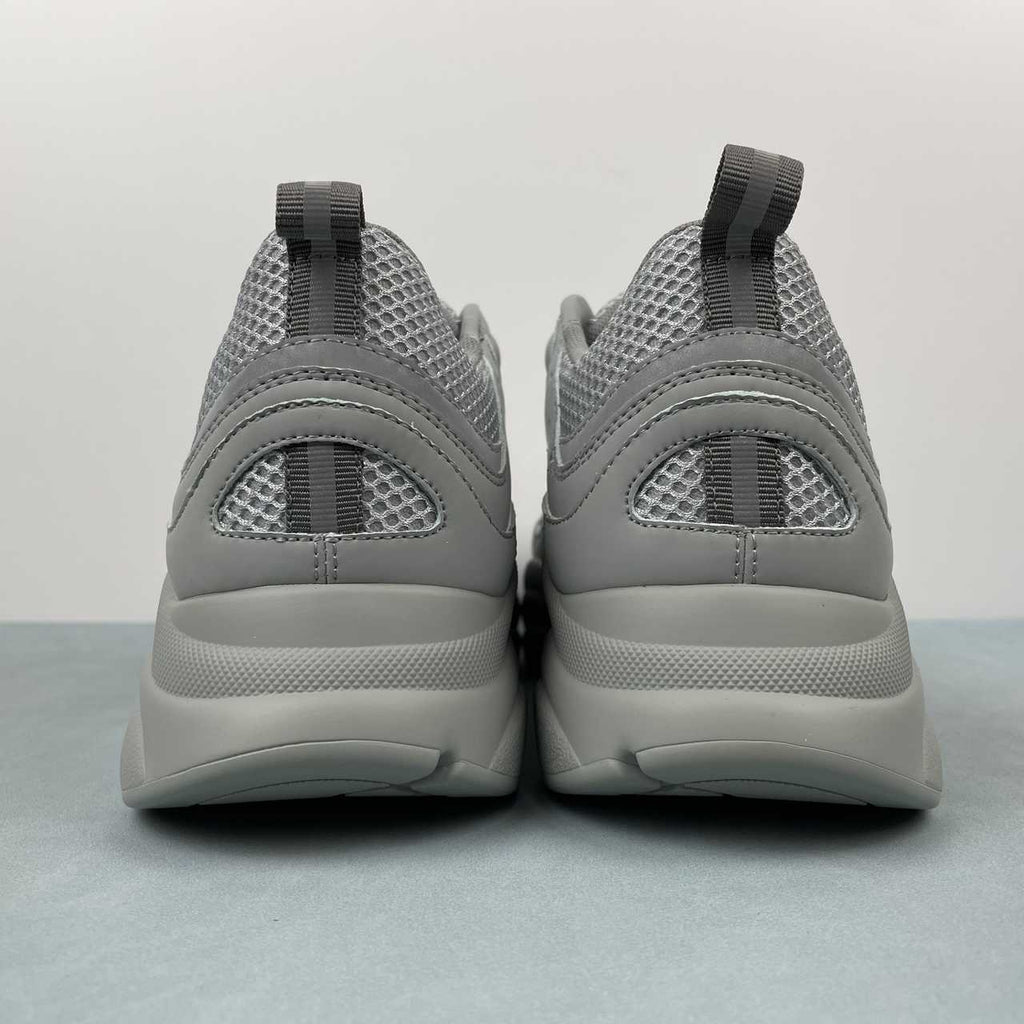 DIOR B22 GREY
