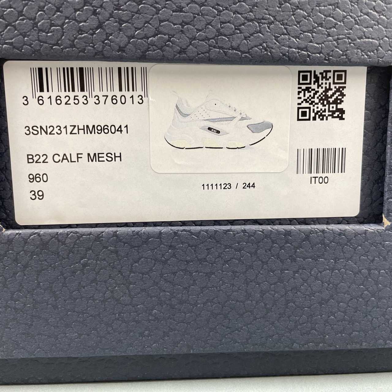 DIOR B22 WHITE BLACK