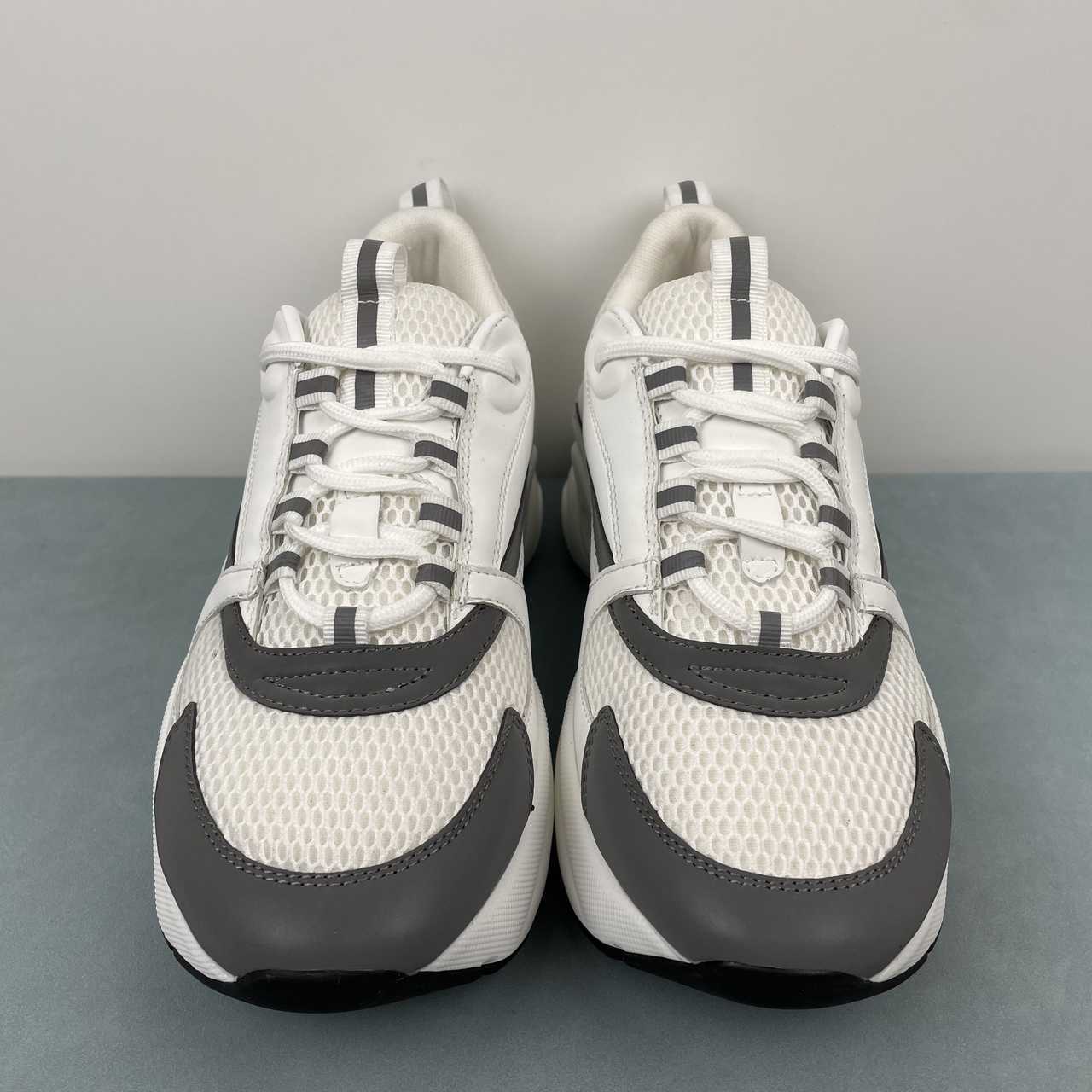 DIOR B22 WHITE BLACK