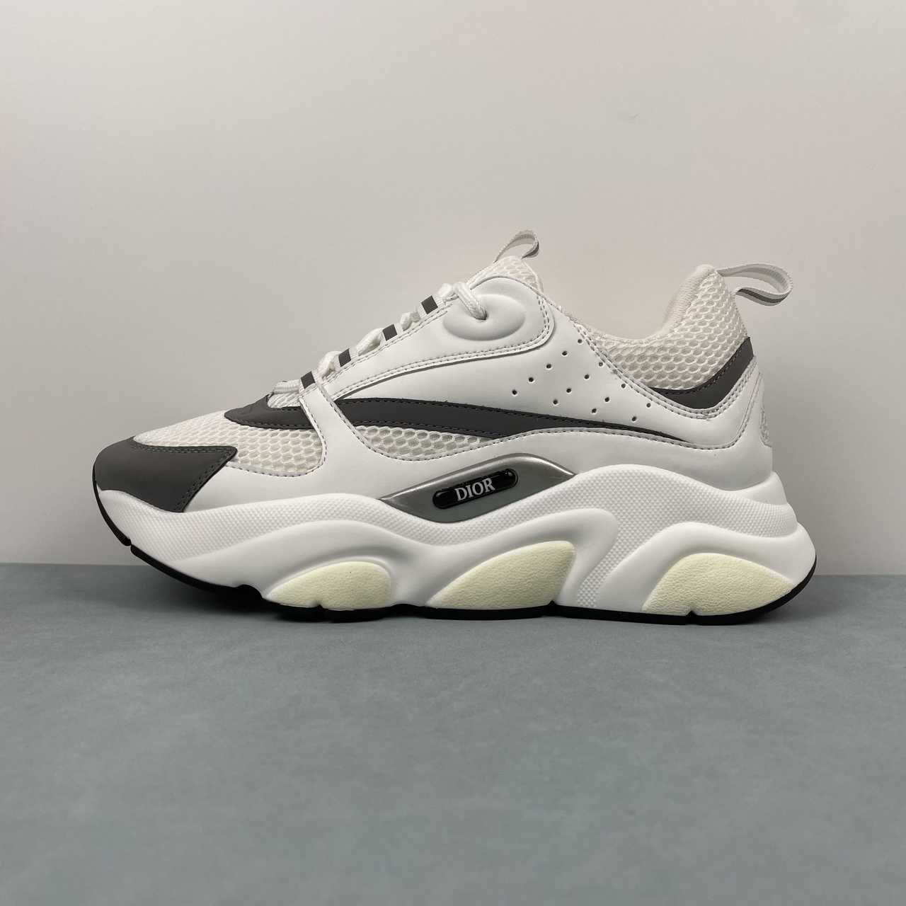 DIOR B22 WHITE BLACK